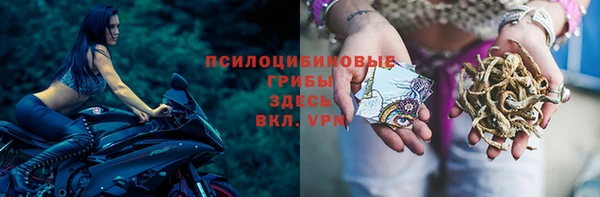 молекула духа Кинешма